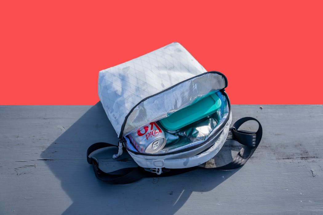 Best Small Cooler for Travel and Everyday