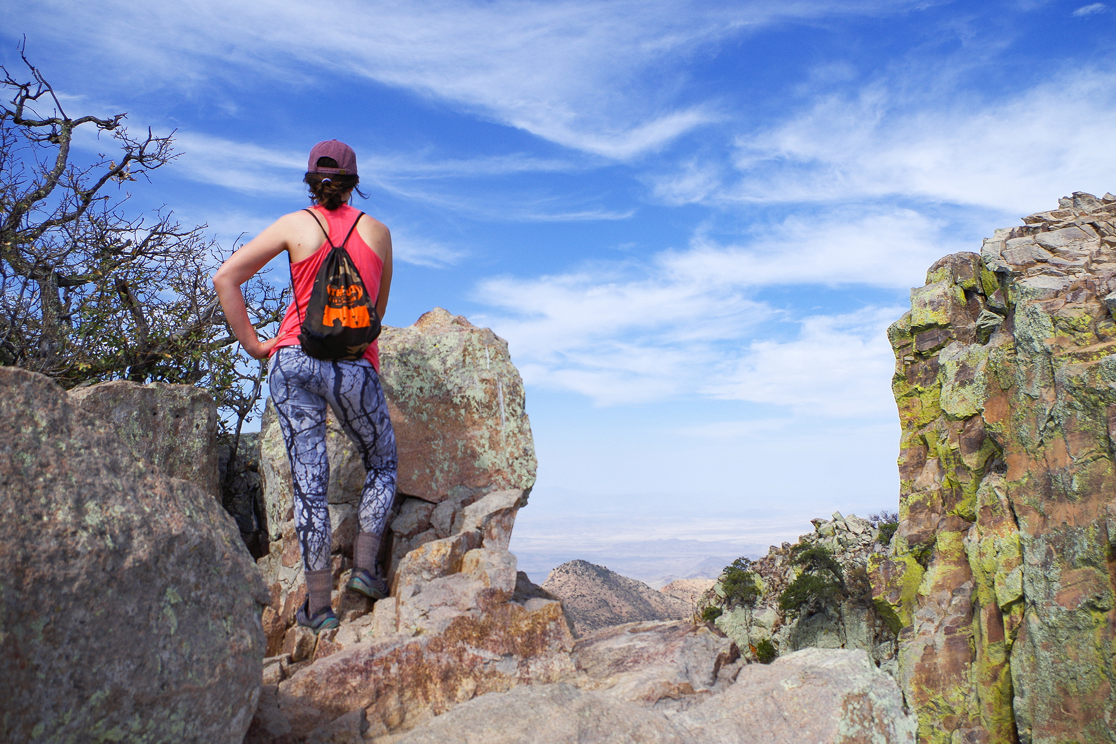 View From Big Bend National Park Road Trip Guide